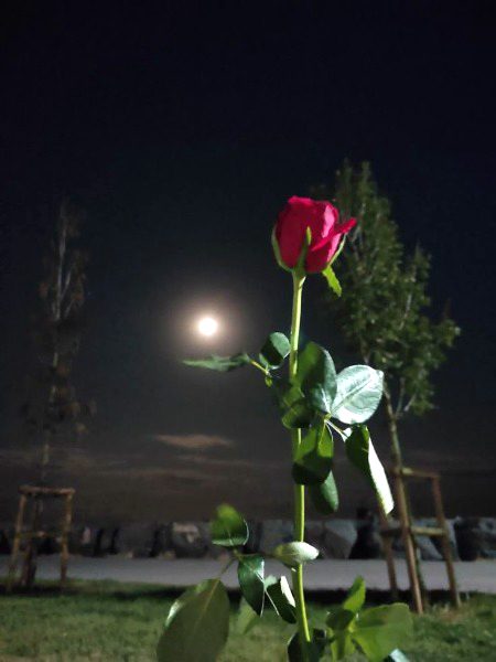 Beautiful Nature image