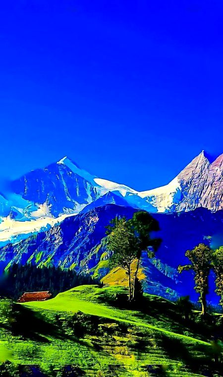 Beautiful Nature image