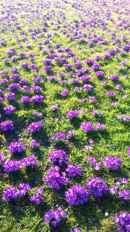 Beautiful Nature image