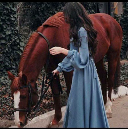 Beautiful Nature image