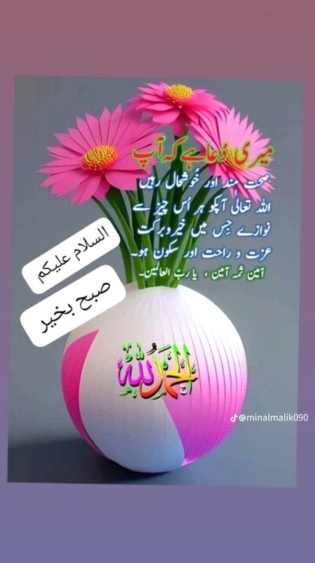 Assalam o Alaikum Subh Bakhair