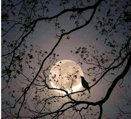 ﺳﺮﺩ ﻟﮩﺠﮧ ﺗﻬﺎ ----- ﭘﻮﺭﺍ ﺳﺎﻝ ﺗﯿﺮﺍ 
ﮨﻢ ﺩﺳﻤﺒﺮ ﮐﻮ ------ ﮐﺲ ﻟﯿﮯ ﺭﻭﺗﮯ