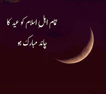 Memes & Satire image