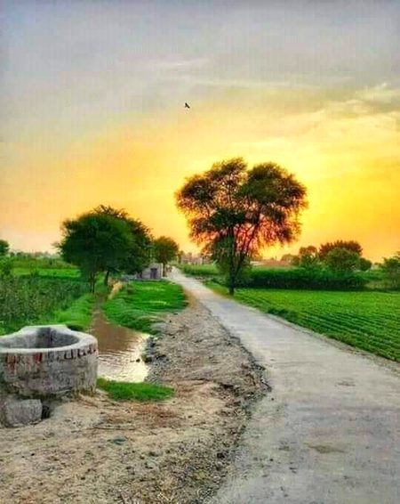 Beautiful Nature image