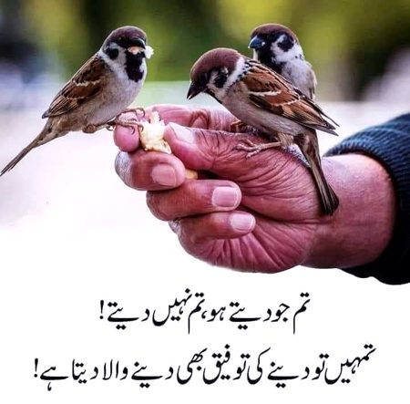 Beshak