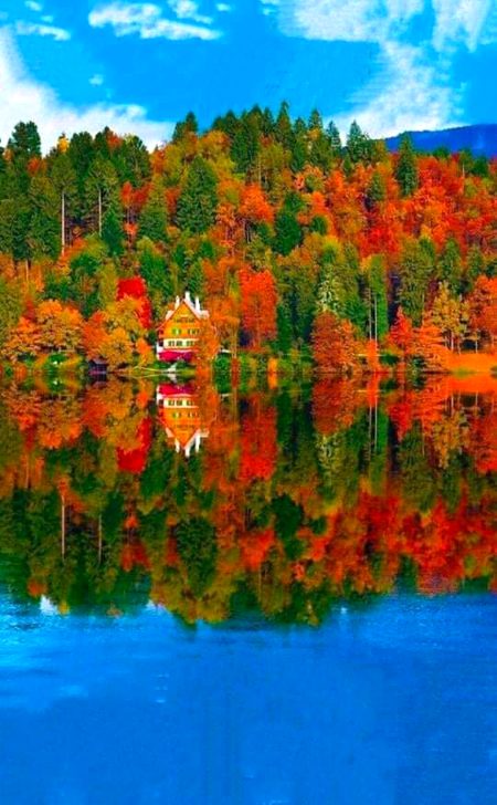 Beautiful Nature image