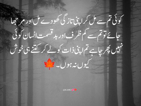 Km Zarf. . Ahsan Framoosh 
Be Zameer