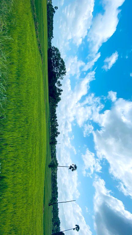 Beautiful Nature image