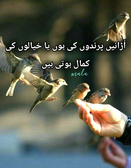 Motivational Quotes image