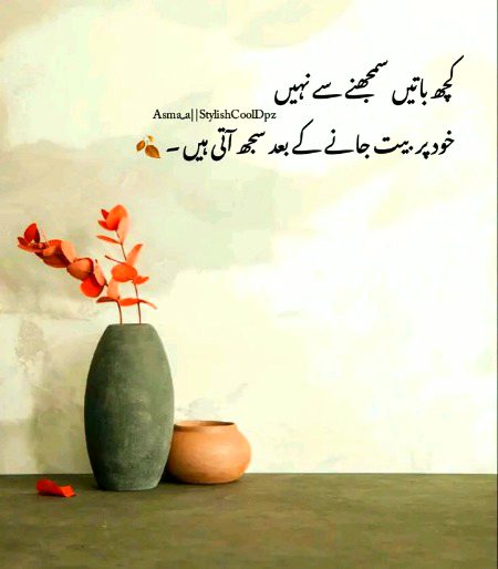 Bilkol koi shk ni