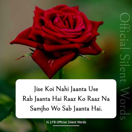 Motivational Quotes image