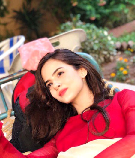 Pakistani Celebs image