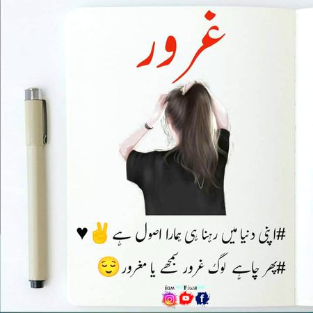 Attitude Quotes image