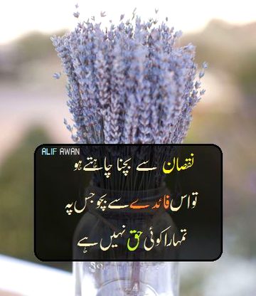 Asslam O Asslam To All Sweet dd family 🌹