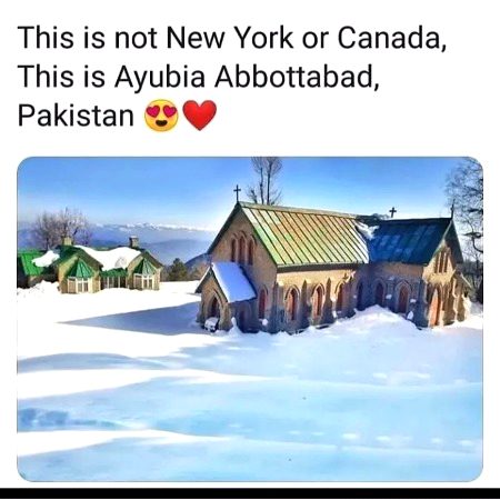 Beautiful Nature image