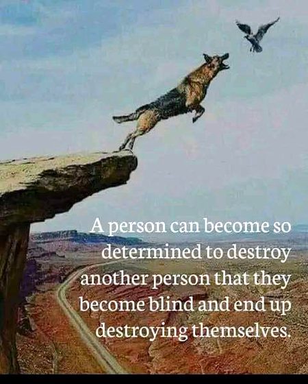 Life Advice image