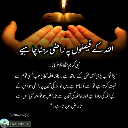 Islamic Quotes image