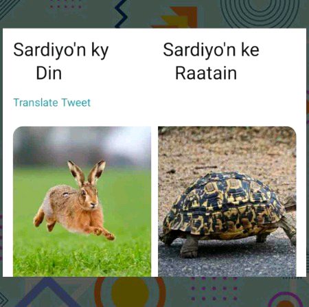 ѕнαнzαιв, Dude! It happened