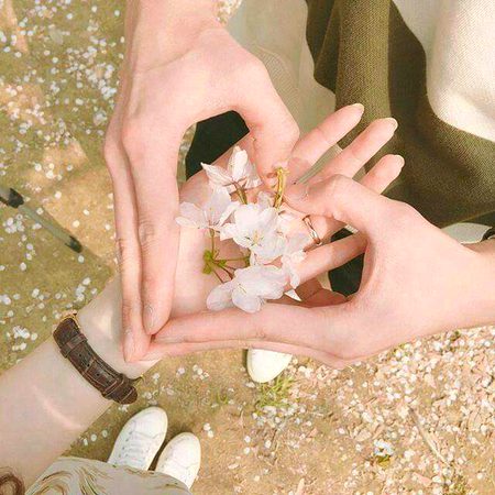 Beautiful Nature image