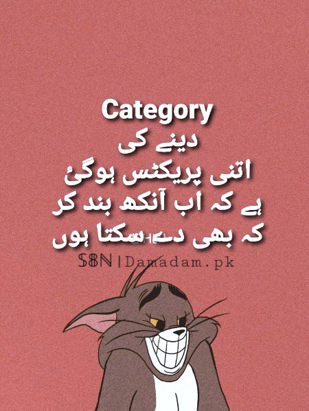 Damadam Roasting image