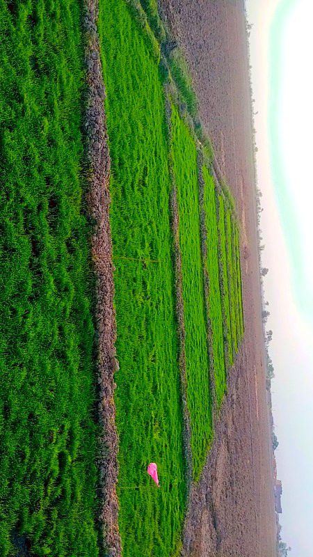 Beautiful Nature image
