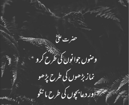Hazrat Ali۔۔ FarmaTy Hain....!