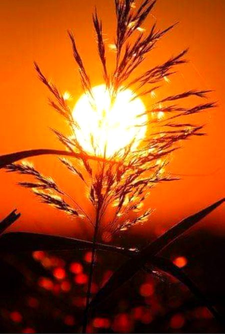 Beautiful Nature image