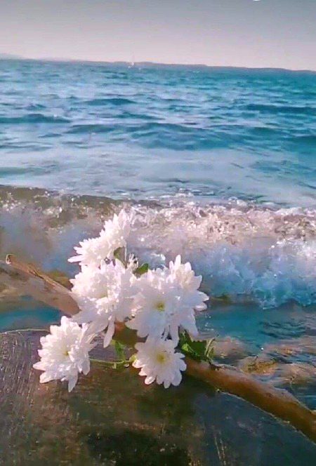Beautiful Nature image
