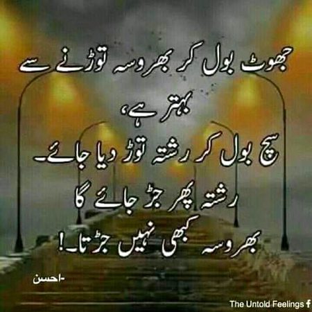 100%right👍