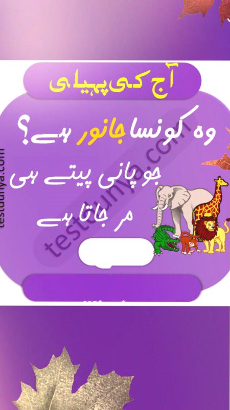 Riddles & Puzzles image