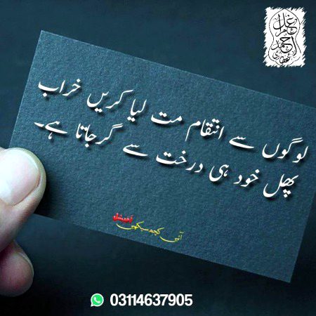 🌹 merijan-16 🌹