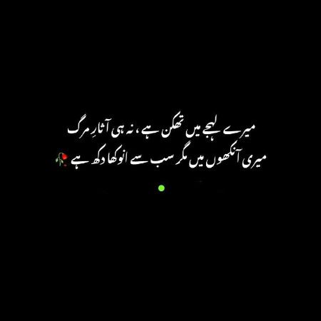 Dilkash💯💞