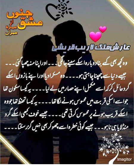 Romantic Novels image