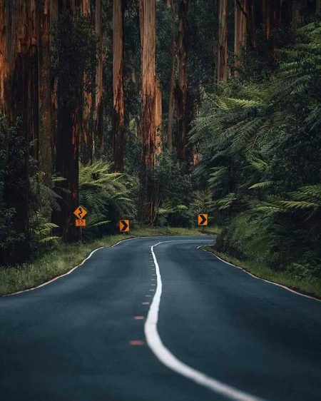 Beautiful Nature image