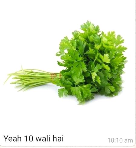 Dhaniya RS 10