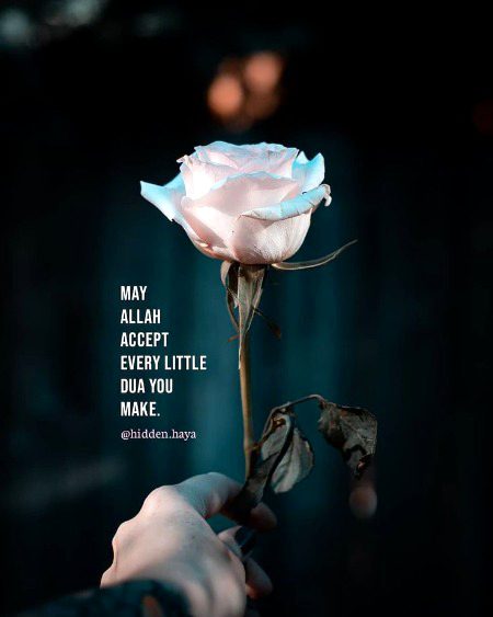 Islamic Quotes image