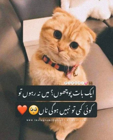 Asa hi kuch hoga I know