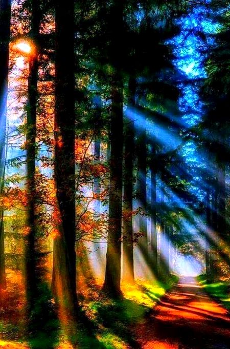 Beautiful Nature image