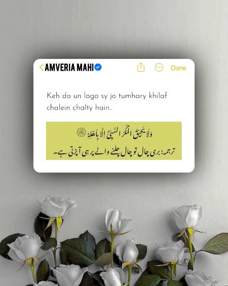 Islamic Quotes image