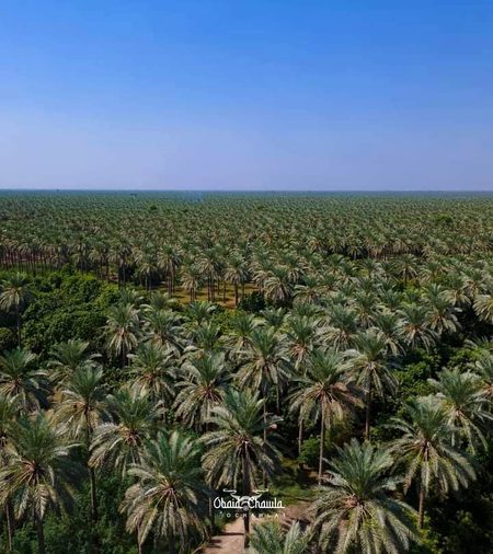 Sahkher ka sandar nazera❤