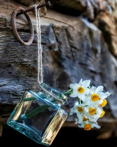 Beautiful Nature image