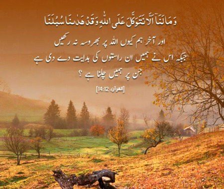 Islamic Quotes image