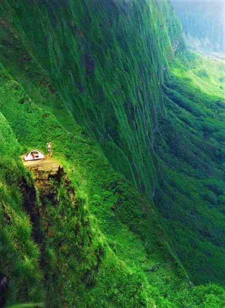 Beautiful Nature image