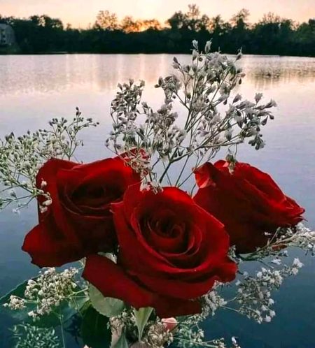 Beautiful Nature image