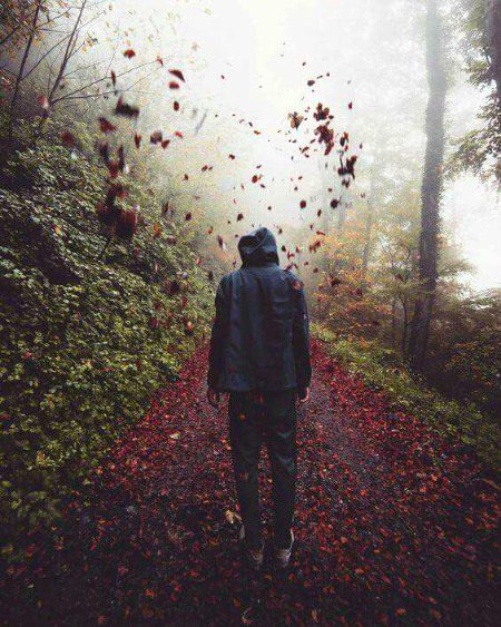 Beautiful Nature image