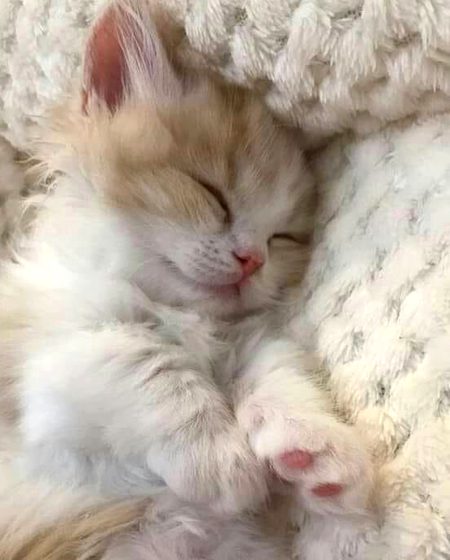 Beautiful Nature image