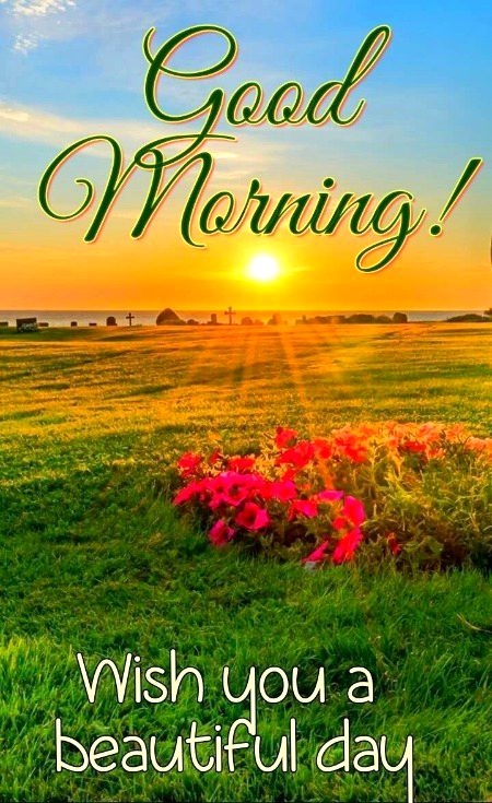 Beautiful Nature image