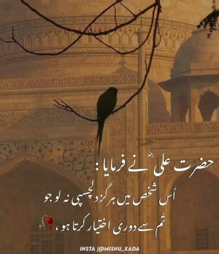 Islamic Quotes image