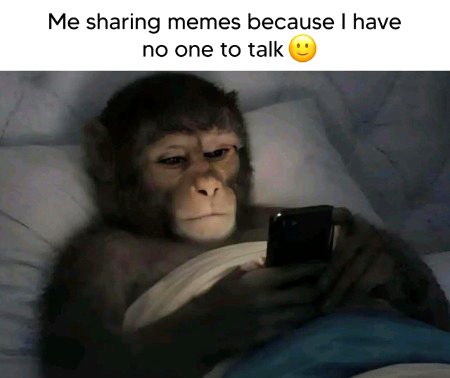 Memes & Satire image