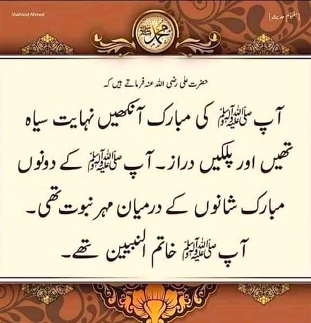 Islamic Quotes image